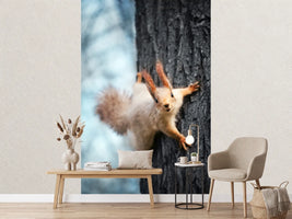 photo-wallpaper-the-squirrel