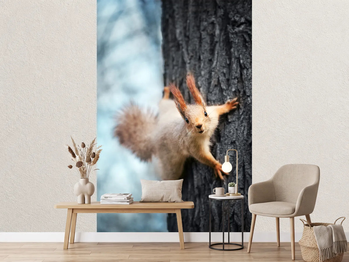 photo-wallpaper-the-squirrel