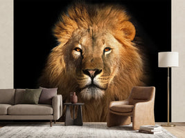 photo-wallpaper-lion-king-isolated-on-black
