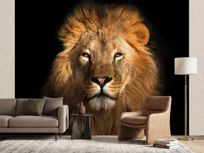 photo-wallpaper-lion-king-isolated-on-black
