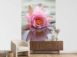 photo-wallpaper-lotus