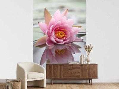 photo-wallpaper-lotus