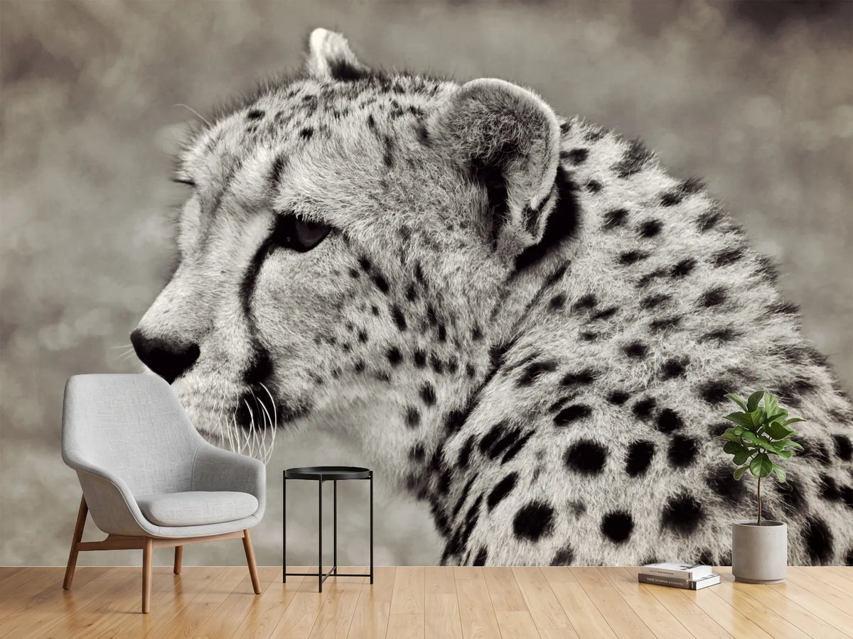 photo-wallpaper-beautiful-cheetah