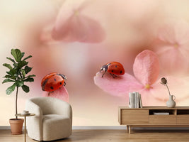photo-wallpaper-ladybirds-on-pink-hydrangea