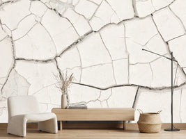 photo-wallpaper-arid-cracked-earth