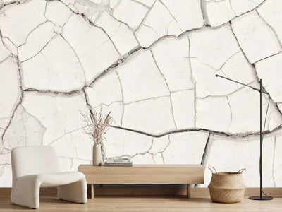 photo-wallpaper-arid-cracked-earth