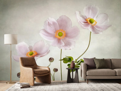 photo-wallpaper-anemones-ii