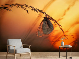 photo-wallpaper-good-night