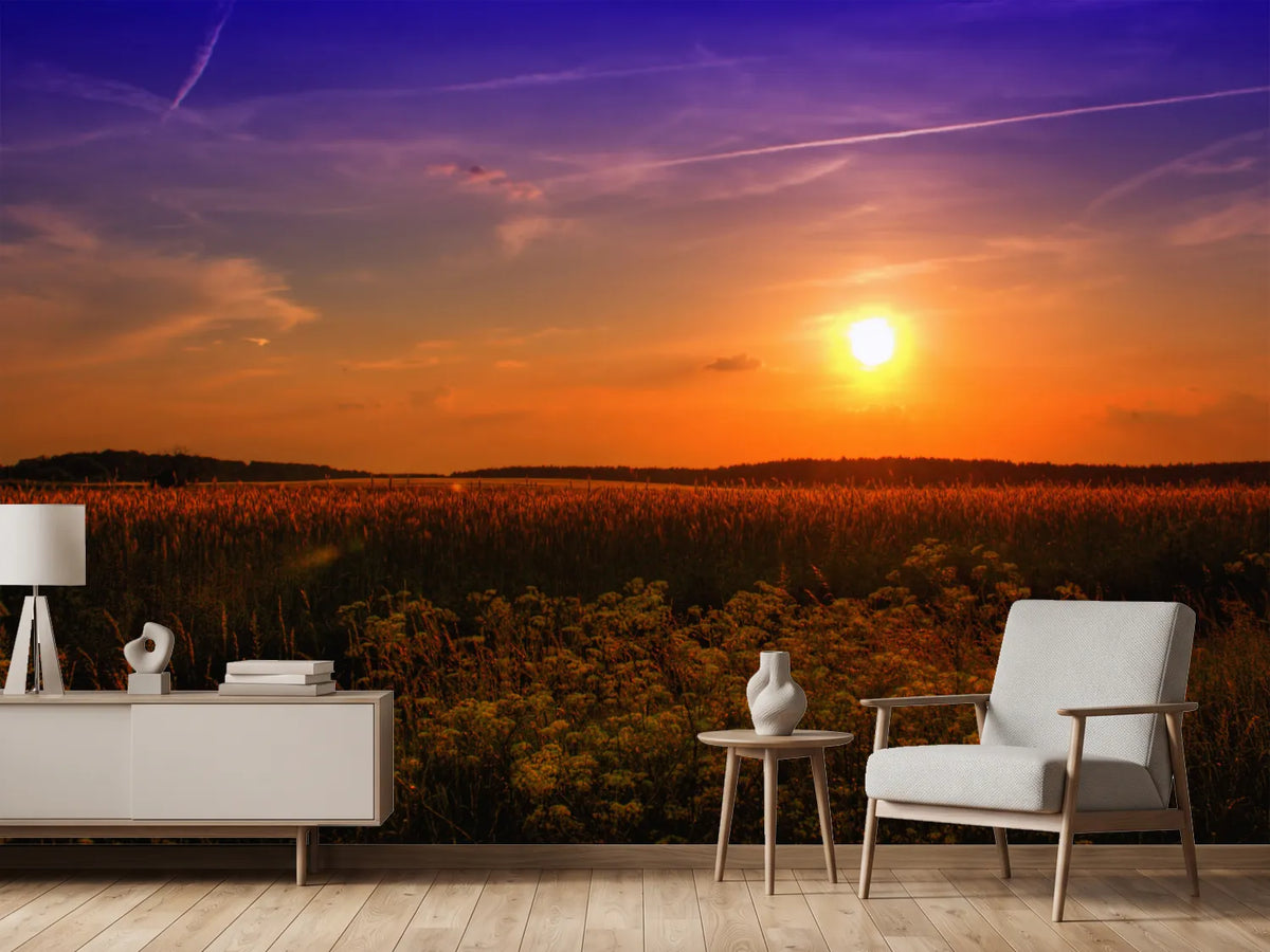 photo-wallpaper-sunset-at-the-flower-field