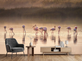photo-wallpaper-photographic-ode-to-monet-x