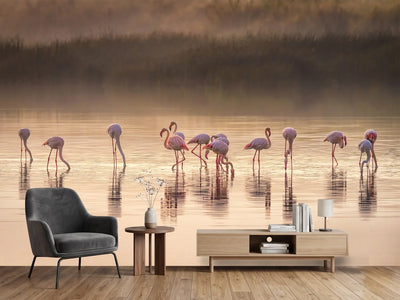 photo-wallpaper-photographic-ode-to-monet-x