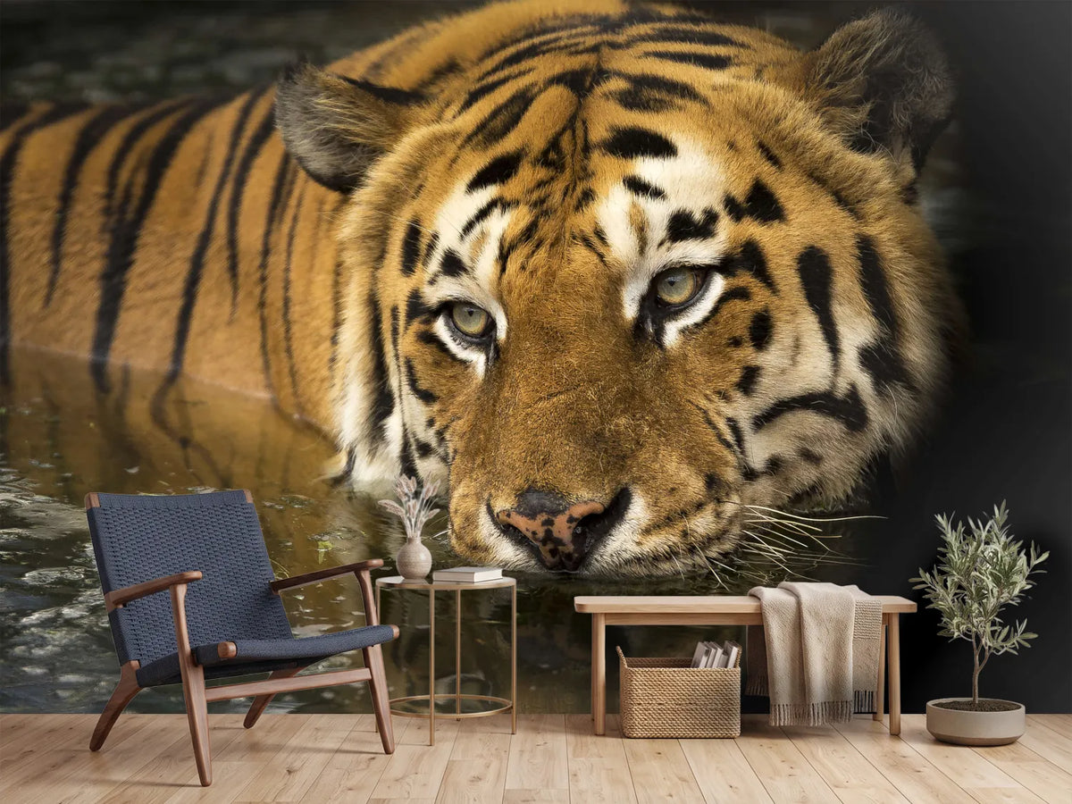 photo-wallpaper-tiger-in-the-water