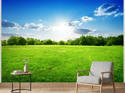 photo-wallpaper-green-grass-and-trees