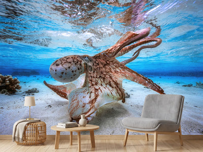 photo-wallpaper-dancing-octopus