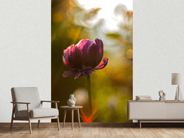 photo-wallpaper-dark-tulips-beauty