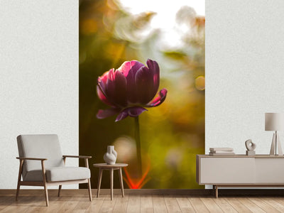 photo-wallpaper-dark-tulips-beauty