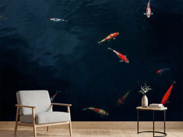 photo-wallpaper-fish-in-the-pond