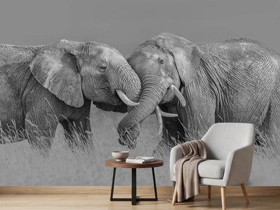 photo-wallpaper-elephant-flight