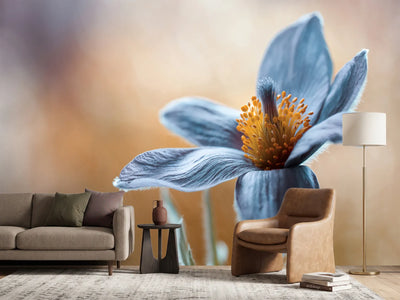 photo-wallpaper-pasque