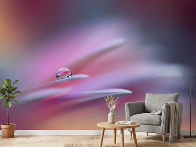 photo-wallpaper-sound-of-colors-xsr