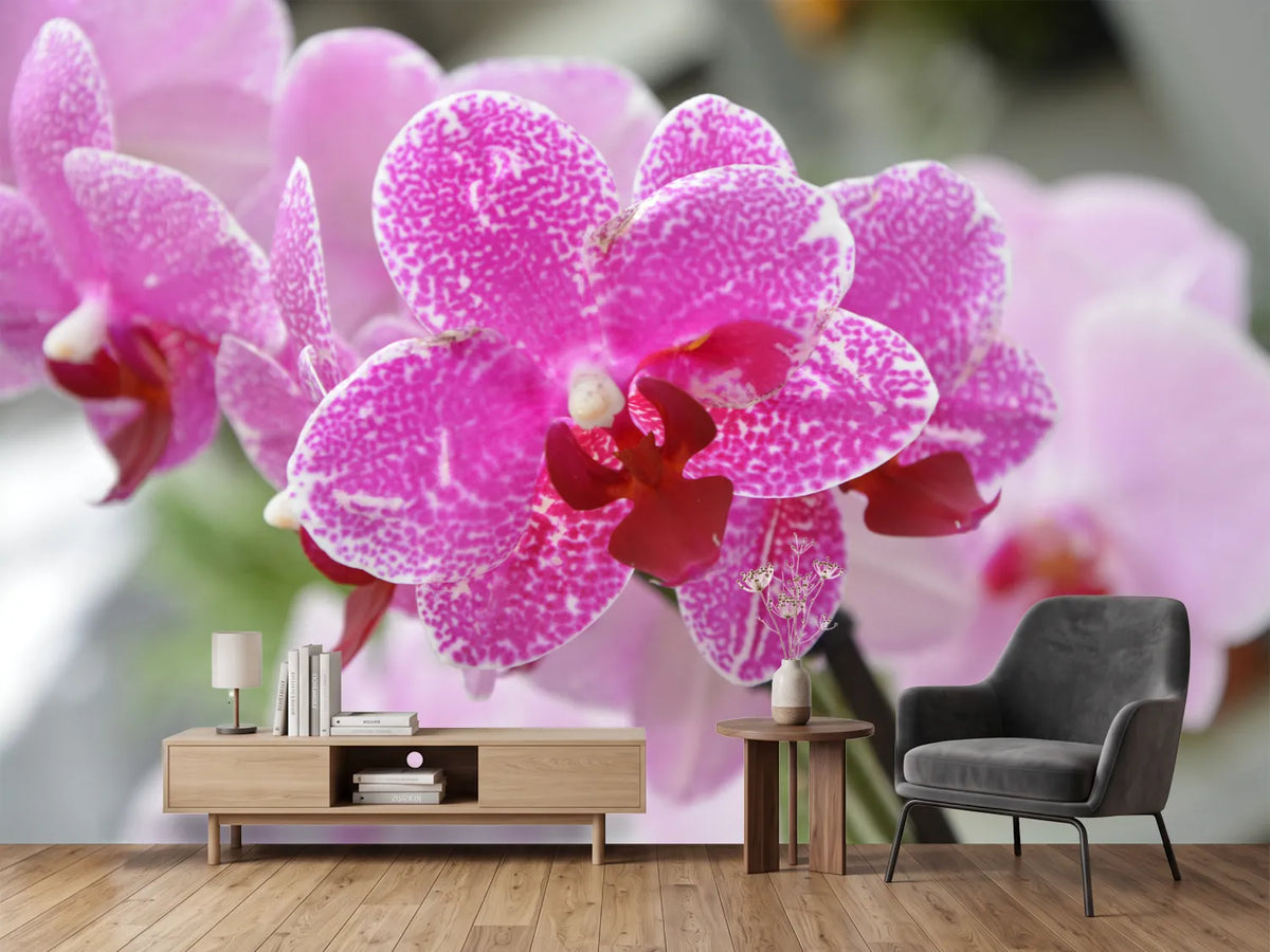 photo-wallpaper-purple-orchids-in-bloom