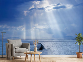 photo-wallpaper-whale-tail-sun-rays