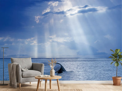 photo-wallpaper-whale-tail-sun-rays