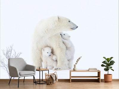 photo-wallpaper-polar-bear-mother-and-cubs
