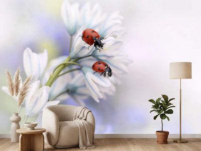 photo-wallpaper-ladybirds