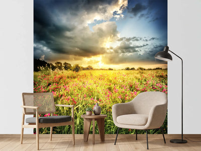 photo-wallpaper-flowers-landscape