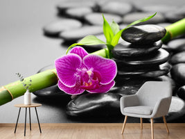 photo-wallpaper-feng-shui-orchid