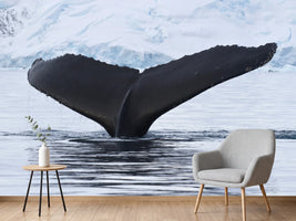 photo-wallpaper-the-humpback-whale
