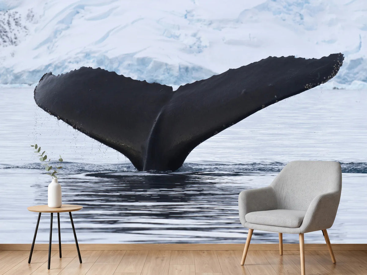 photo-wallpaper-the-humpback-whale