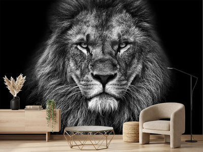 photo-wallpaper-king-face-bw