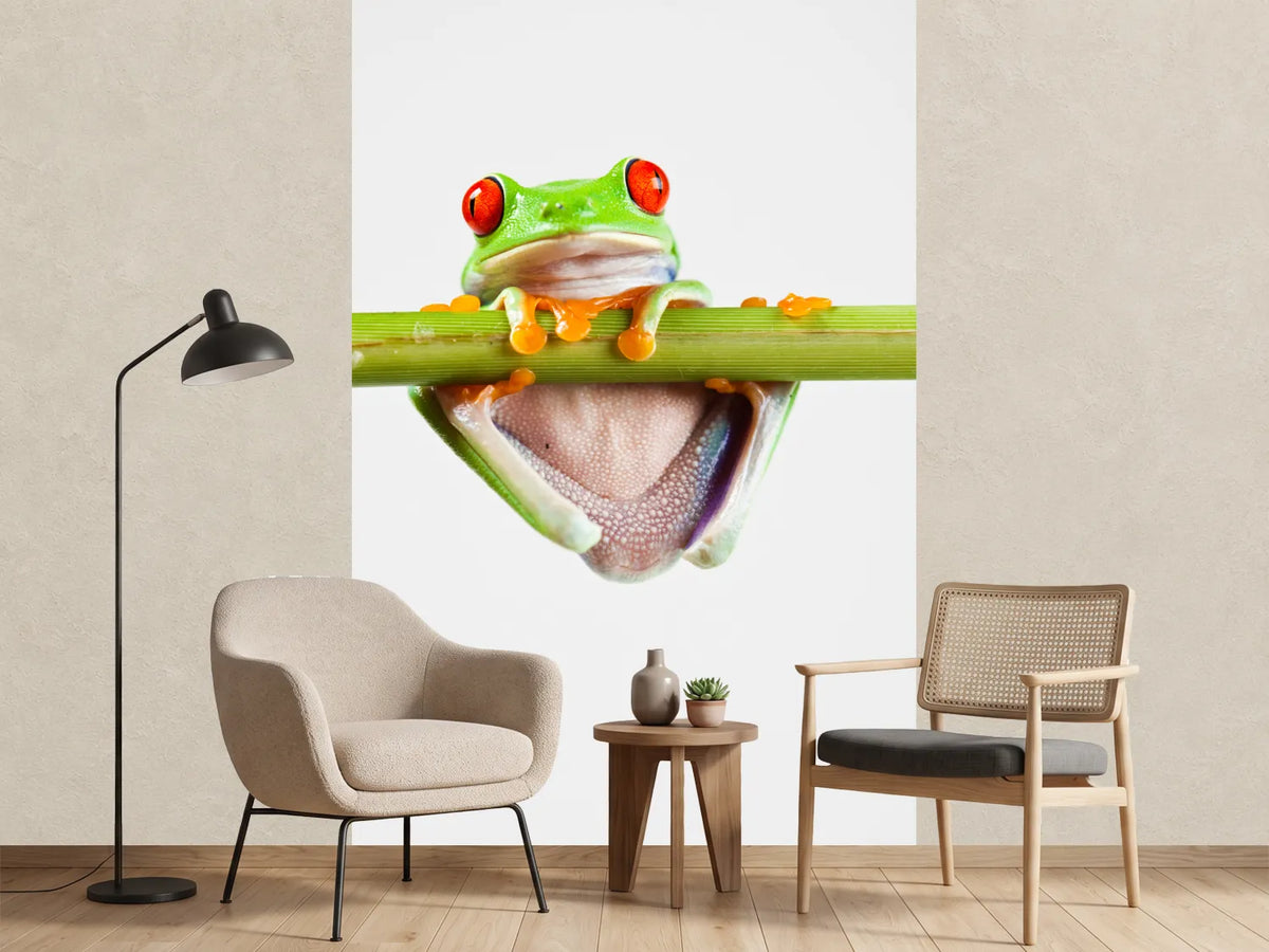 photo-wallpaper-frog-acrobatics