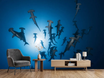 photo-wallpaper-hammerhead-sharks-in-the-light