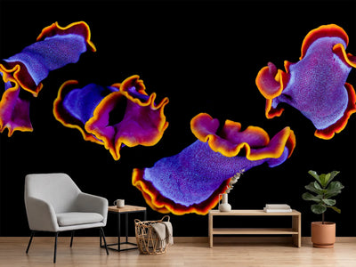 photo-wallpaper-flamenco