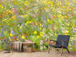 photo-wallpaper-summer-field-flowers-x