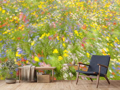 photo-wallpaper-summer-field-flowers-x