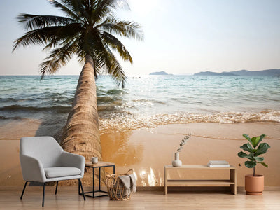 photo-wallpaper-palm