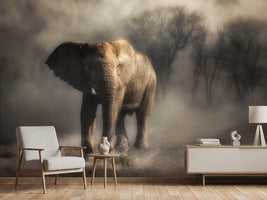 photo-wallpaper-misty-elephant-walk
