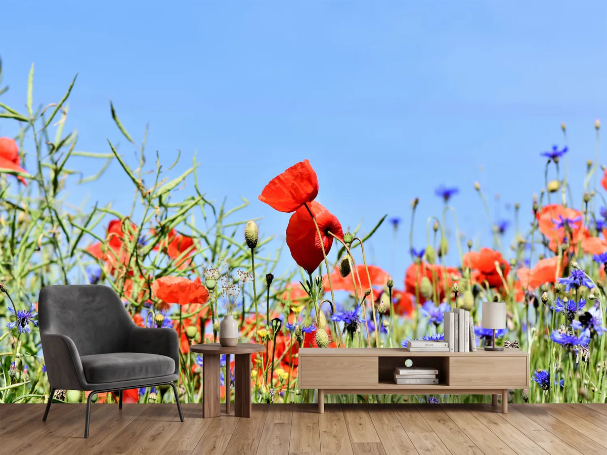 photo-wallpaper-the-poppy-in-the-flower-meadow