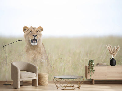 photo-wallpaper-young-lion