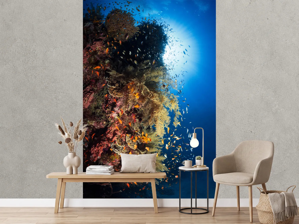 photo-wallpaper-life-explosion-ii