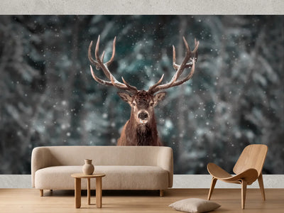 photo-wallpaper-red-deer-in-the-winter-snow-forest