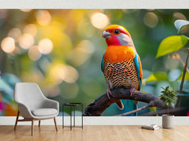 photo-wallpaper-colorful-bird-sitting-on-the-branch-with-bokeh-background