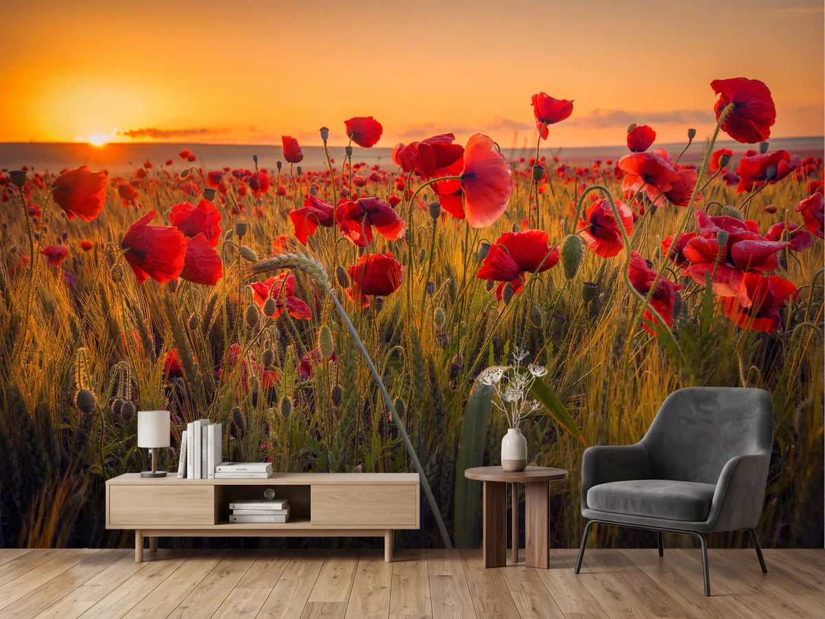 photo-wallpaper-poppies-in-a-wheat-field-at-sunrise