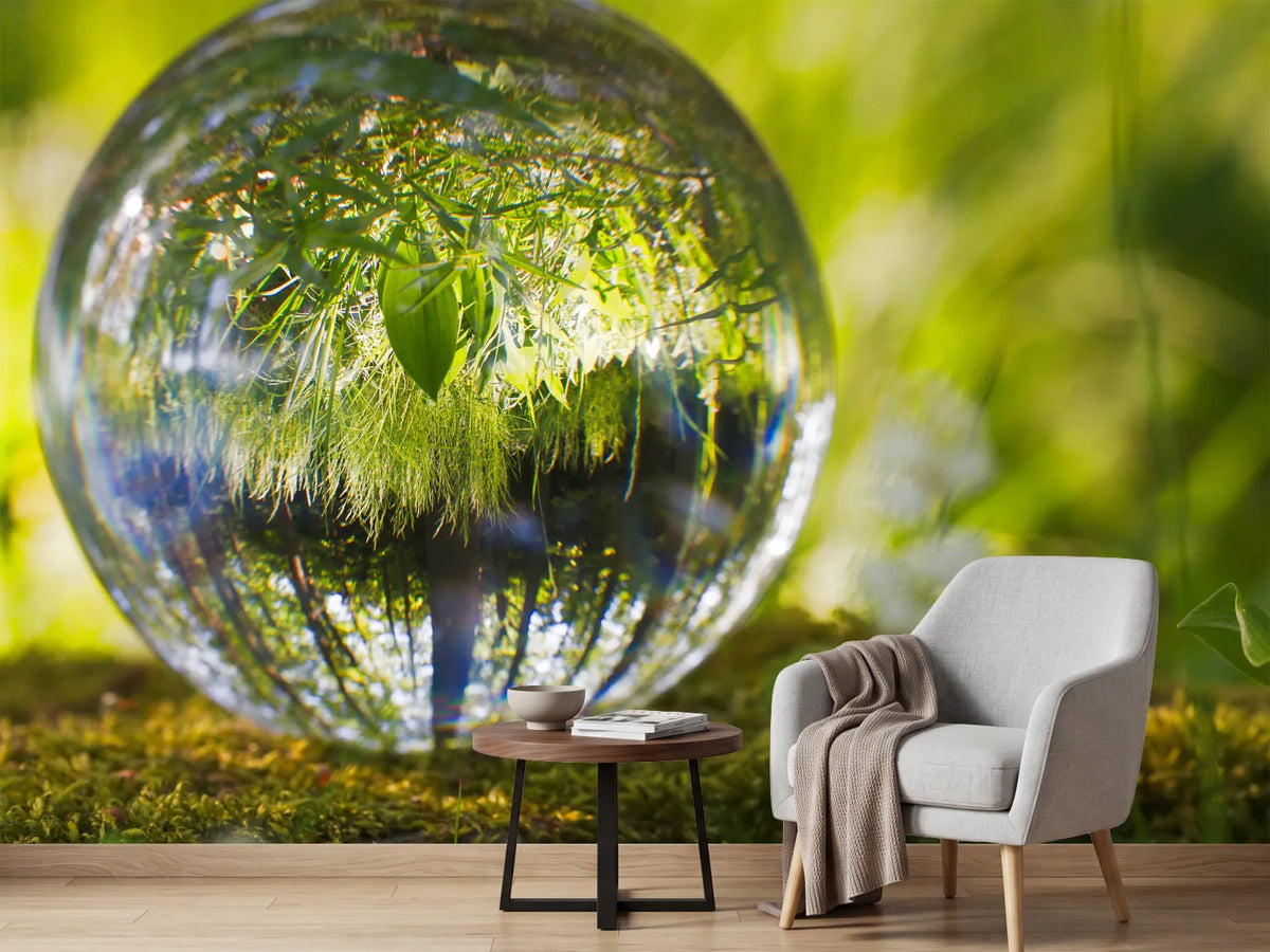 photo-wallpaper-nature-ball
