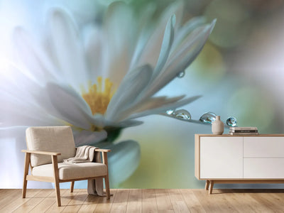 photo-wallpaper-light-touch