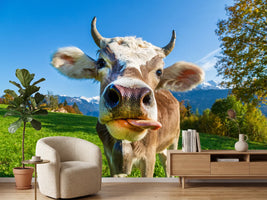 photo-wallpaper-cow-on-the-alp